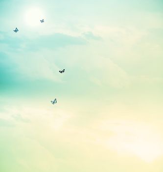 Blue butterflies on the cloudscape