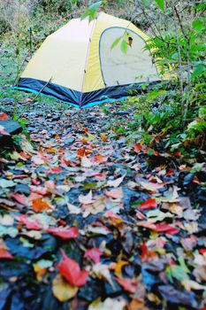 Camping in the autumn woods
