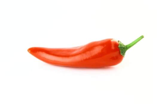 red hot chili pepper on a white background