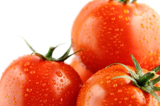 fresh tomatoes with green leaves on white background