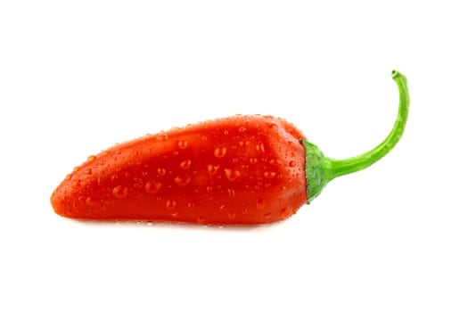 red hot chili pepper with water drops on a white background