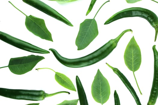 Green hot chili pepper with green leaves on a white background