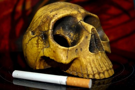 Tobacco smoking ruins human life