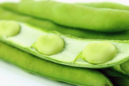closeup of broad bean pods and beans