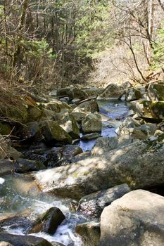 Pure stream in the autumn in mountains