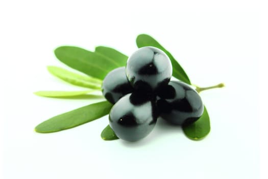 Black Olives with leaves on a white background