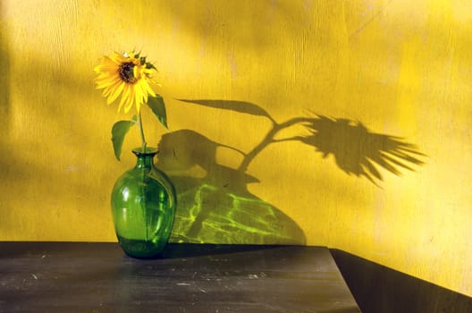 green glass bottle with sunflower and evening sunlight 