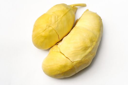 Widely known and revered in southeast Asia as the "king of fruits", the durian is distinctive for its large size, unique odour, and formidable thorn-covered husk.