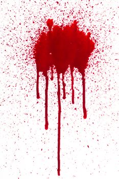 A high resolution image of a blood splat and drips