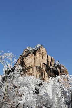 Rime and mountain in winter against blue sky