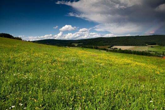 flowering summer meadows in mountains before rain and rainbow