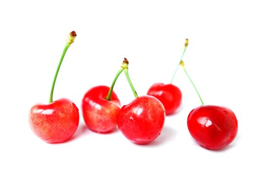 Red cherry fruits on a white background