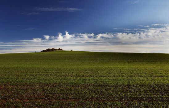 Bright summers day in the English Countryside 