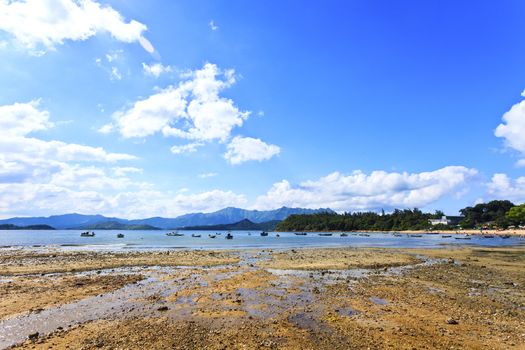 Coast landscape in summer 