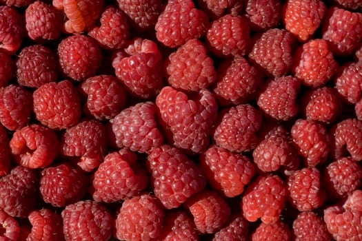 Fresh ripe perfect raspberry - Food Frame Background 
