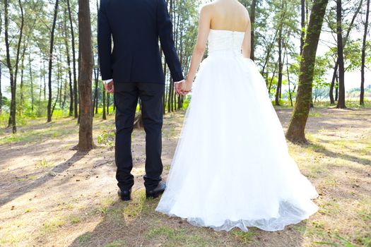 Love in forest, couple hand in hand concept.