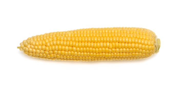 Fresh corn on white background