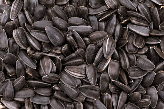 sunflower seeds