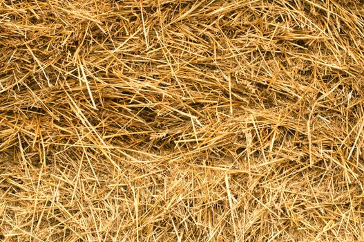 Straw texture