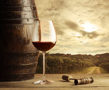 Wine glass on vineyard background