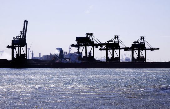 Cranes in the harbour of Rotterdam