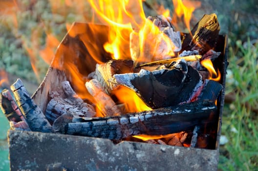 Firewood in the brazier, Fire closeup in summer