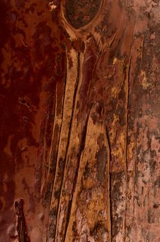 Old painted wooden boards with the falling paint background