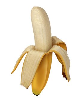 Banana peeled open as a fruits and vegetables symbol of healthy eating and organic cultivation as a ripe sweet nutritious health food from a tropical climate.