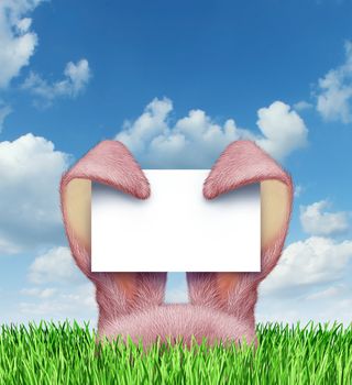 Easter bunny sign with pink rabbit ears holding a blank sign card on a spring blue sky popping up from green grass as a symbol of a fun holiday celebration advertising message.