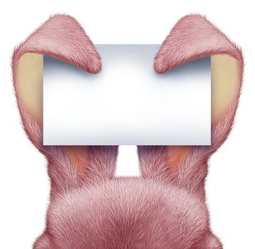 Easter rabbit pink ears holding a blank sign card with detailed textured realistic fur as a fun spring symbol of holiday celebration as an advertising message on a white background.