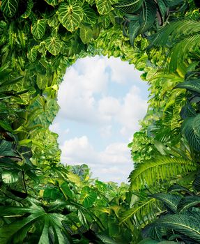 Find your way out from the dark danger of the jungle of uncertainty and confusion with rainforest plants in the shape of a human head leading to an open sky of freedom.