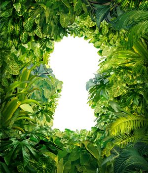 Out of the jungle as a concept of freedom and success from chaos and confusion with a thick green rainforest as a group of tropical plants in the shape of a blank white glowing key hole.