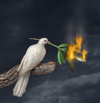 Peace crisis concept with a white dove standing on a tree holding an olive branch on fire as a symbol of the challenges of war fighting and revolution and the elusive search for a truce or agreement in the middle East or other countries in conflict.