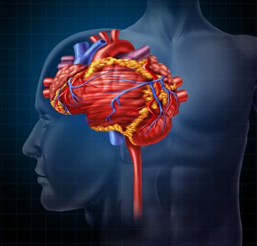 Heart brain shaped human organ as intelligence and research with a cardiovascular pumping blood as a medical and mental health care symbol for active neurons in the body on a black background.