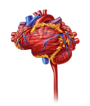 Human heart intelligence and research with a cardiovascular pumping organ in the shape of a brain as a medical and mental health care symbol for active neurons in the body.