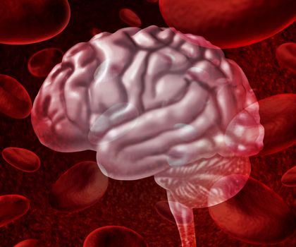 Brain blood circulation as cells flowing through veins and human circulatory system representing a medical health care symbol relating to stroke or neurology issues.