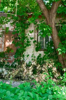 Chernobyl disaster results. This is an abandoned house in Chernobyl city