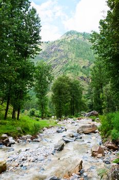 River on a mountain slope covered by trees