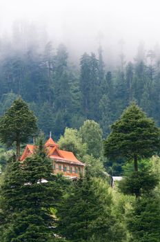 House in high mointains covered by coniferous forest and clouds, North India