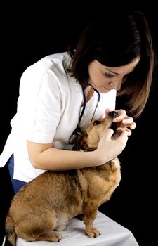 a veterinary girl and dachshund