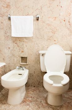 White clean toilet bowl and bidet in modern  bathroom