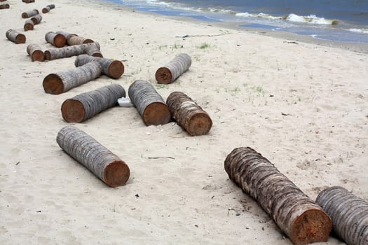 Timber on the beach