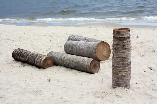 Timber on the beach