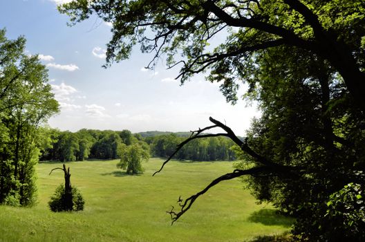 The photo shows Bad Muskau - Muskauer Park - view from walking path