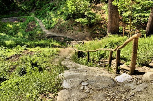 This photo present Bad Muskau - park - walking paths