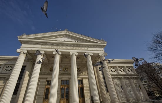 pigeons flying at Romanian Atheneum, Bucharest city