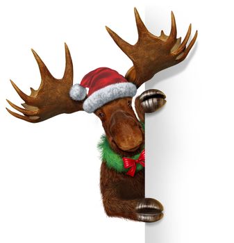 Christmas holiday northern moose with huge antlers holding a blank white sign wearing a santacluse hat and a wreath with a red bow with copy space as a festive winter season communication and advertising for seasonal celebration of the new year.