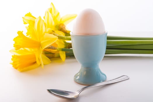 eggcup