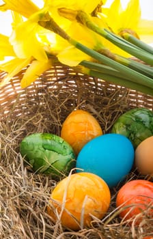 Coloured eggs