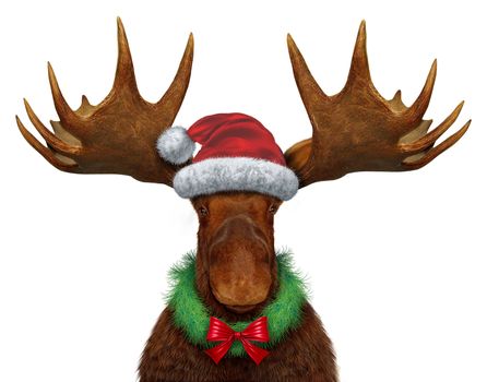 Christmas moose with santaclause hat and a holiday wreath with a red silk bow as a seasonal symbol of celebrating the season of giving with a festive funny northern forest animal with huge antlers on white.
